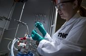 Researcher injects transparent liquid into a tube